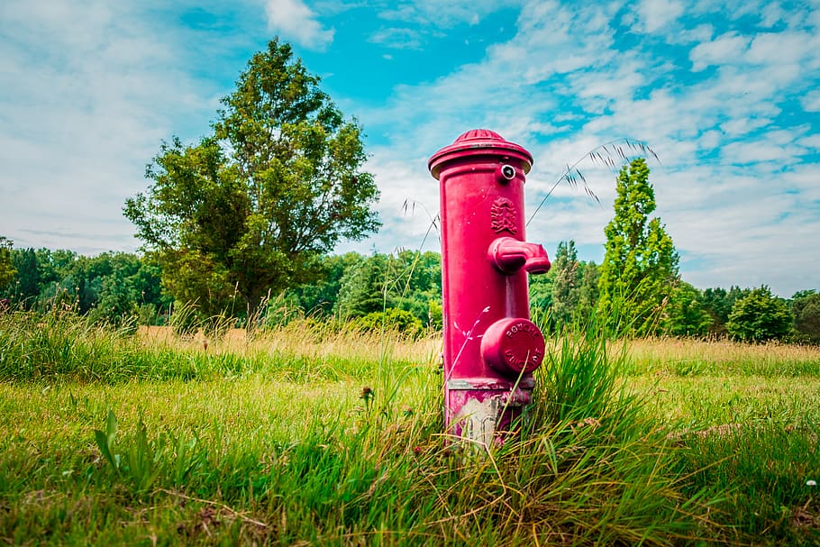 hydrant, pump, water, drink, red, gras, park, tree, sky, cloud HD wallpaper