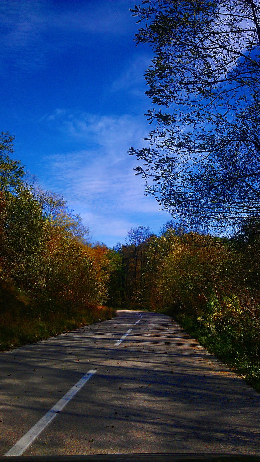autumn, jesen, auto, road, car, nature, clean, colorful, country, HD wallpaper