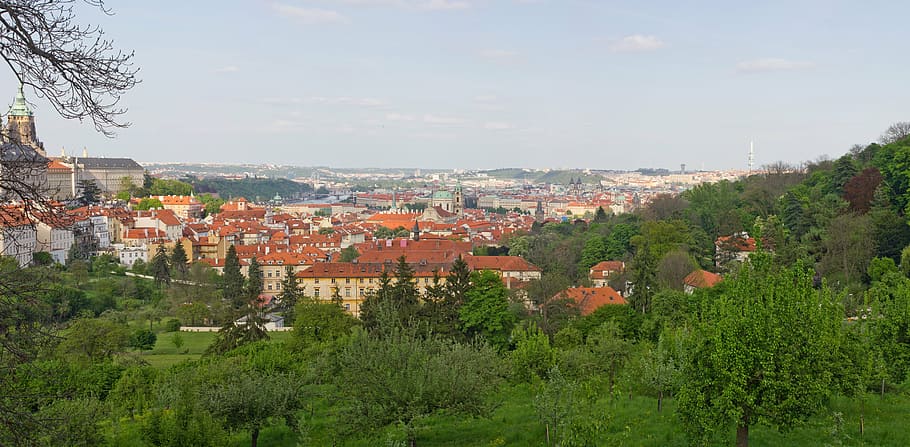 prague, panorama, panoramic views, nature, europe, greens, summer HD wallpaper