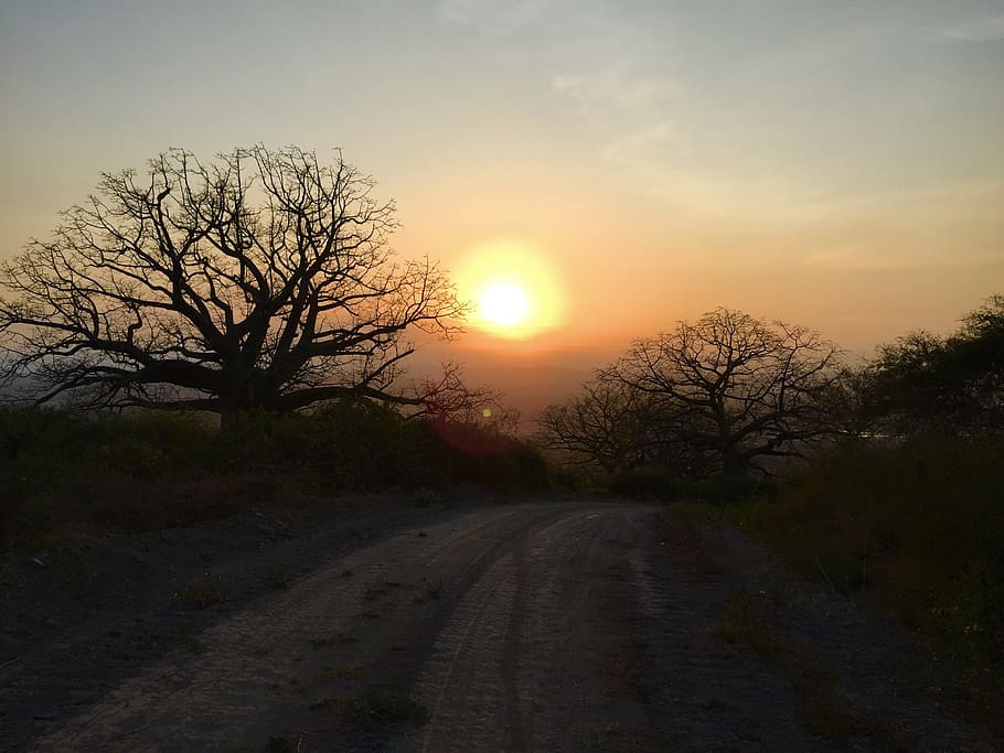 sunset, setting sun, cycling, mountain, bike, nature, landscape HD wallpaper