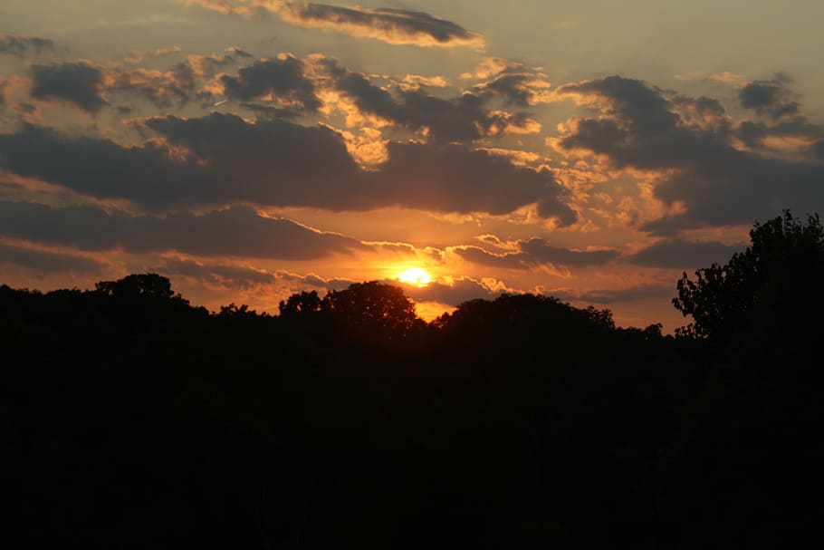 sunset, silhouette, shadow, horizon, sky, cloud - sky, beauty in nature HD wallpaper