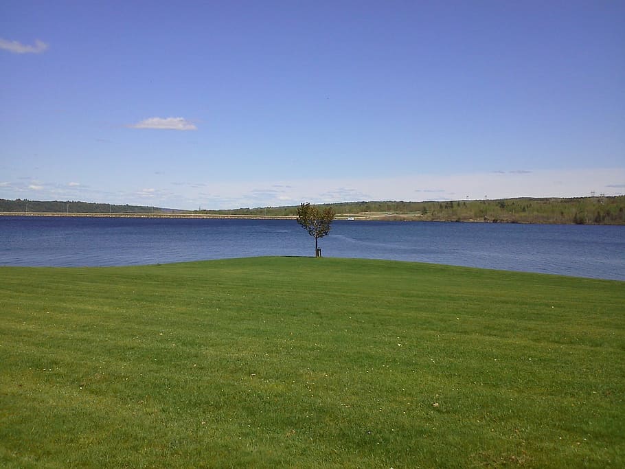 Canada, Secluded, park, field, grass, nature, landscape, scenics HD wallpaper