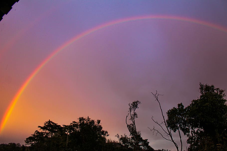 rainbow, arc, sky, tree, beauty in nature, plant, tranquility HD wallpaper