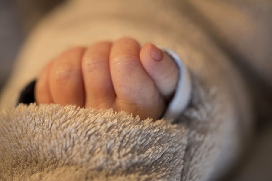 shallow photography of baby's hand, birth, fingers, love, child, HD wallpaper