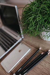 Silver Acer laptop on a wooden desk with a green plant, pencils and an Apple iPhone HD wallpaper