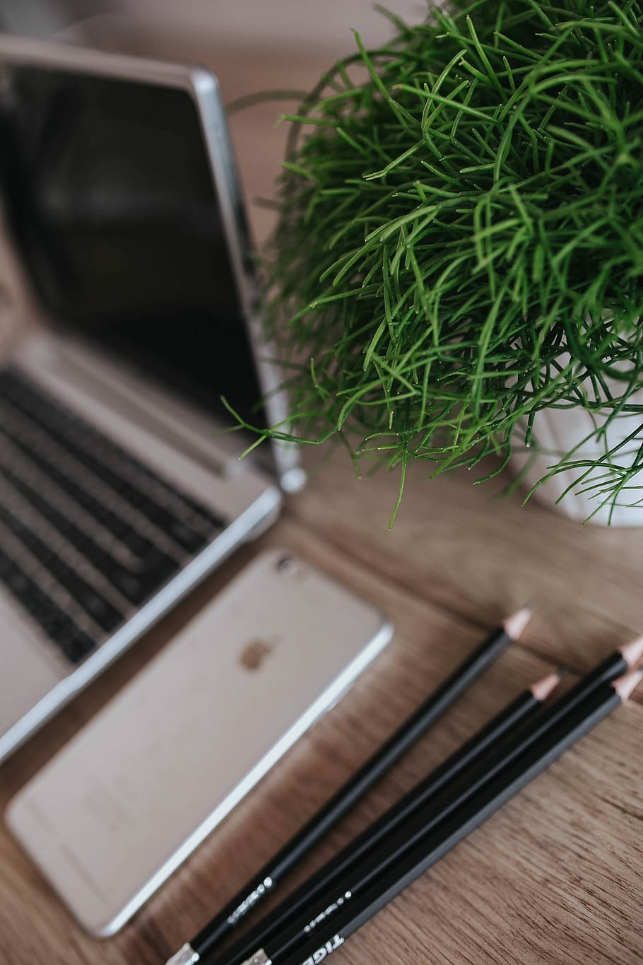 Silver Acer laptop on a wooden desk with a green plant, pencils and an Apple iPhone HD wallpaper