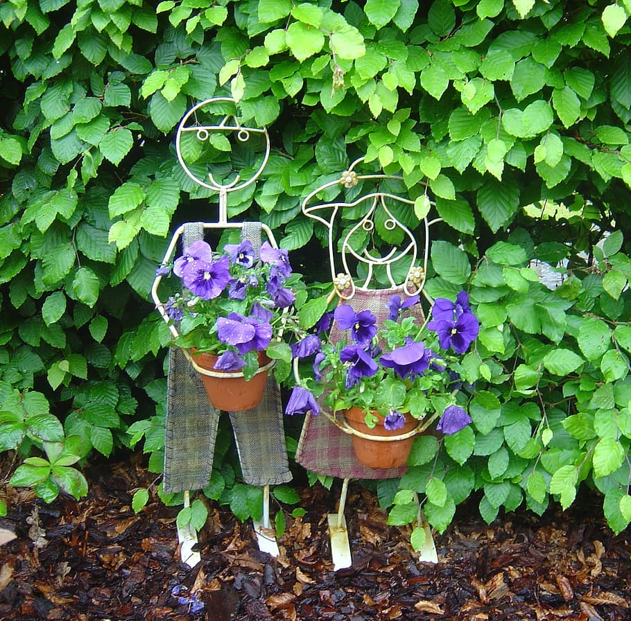natural, erection, have, plant, leaf, plant part, growth, flowering plant HD wallpaper
