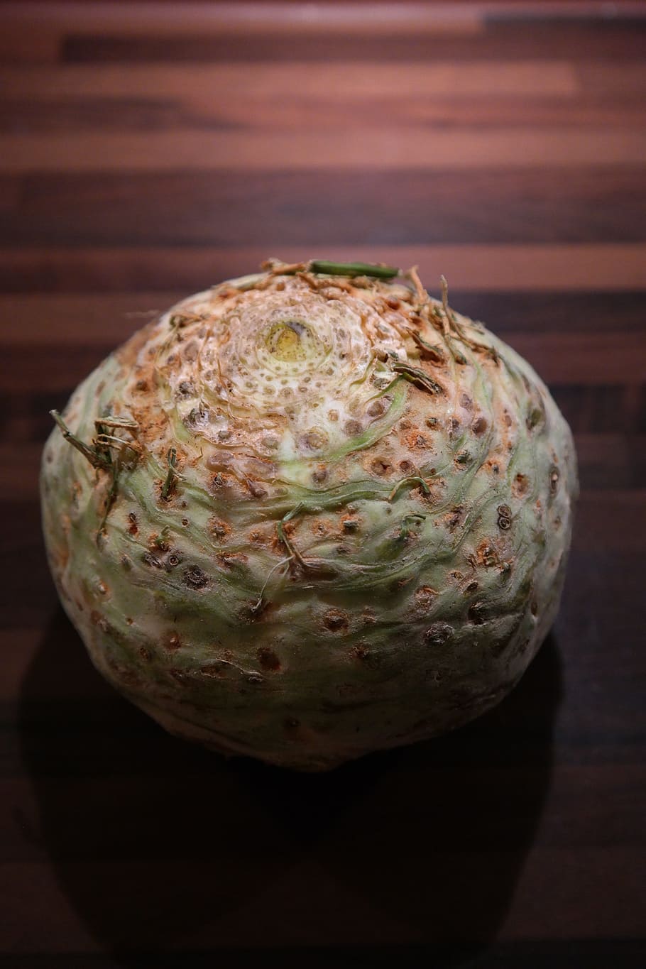 Celery, Celeriac, Vegetables, Turnip, tuber, apium graveolens var rapaceum HD wallpaper