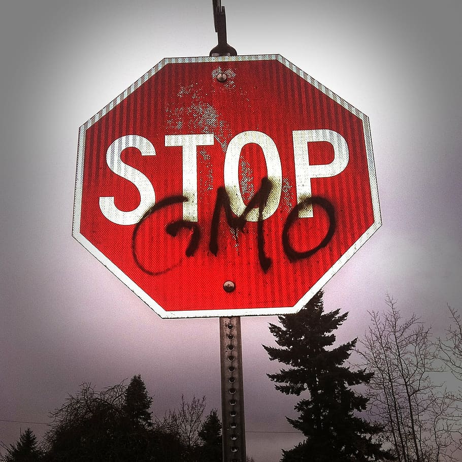photo of red and white stop signage, gmo, science, food, health, HD wallpaper