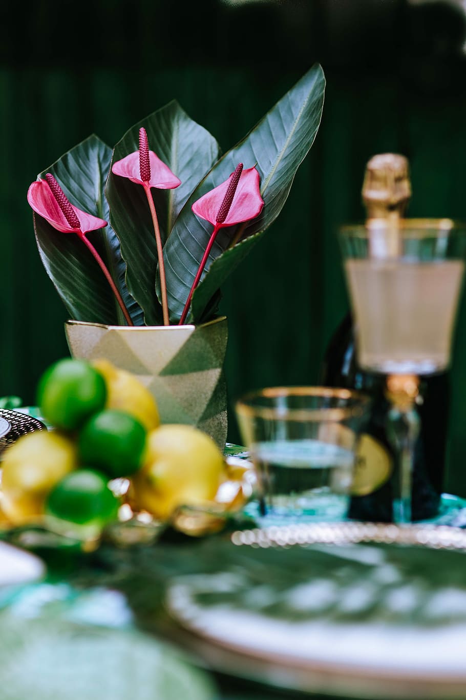 Colorful Exotic Flowers and Greenery, flora, leaf, leaves, tropical HD wallpaper