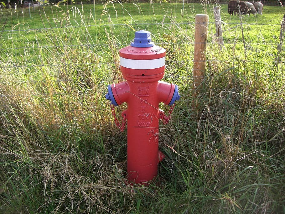 hydrant, fire, red, fire fighting water supply, valve, grass HD wallpaper