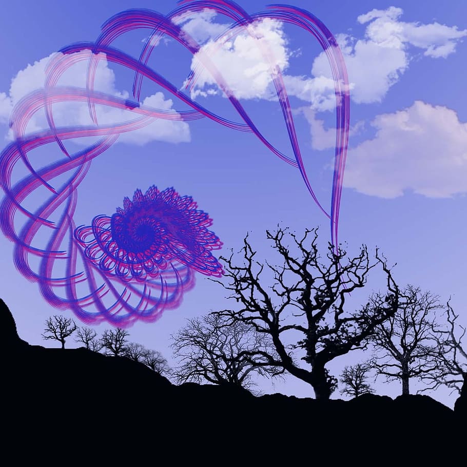 bare trees under blue sky and white clouds at daytime, fractal HD wallpaper