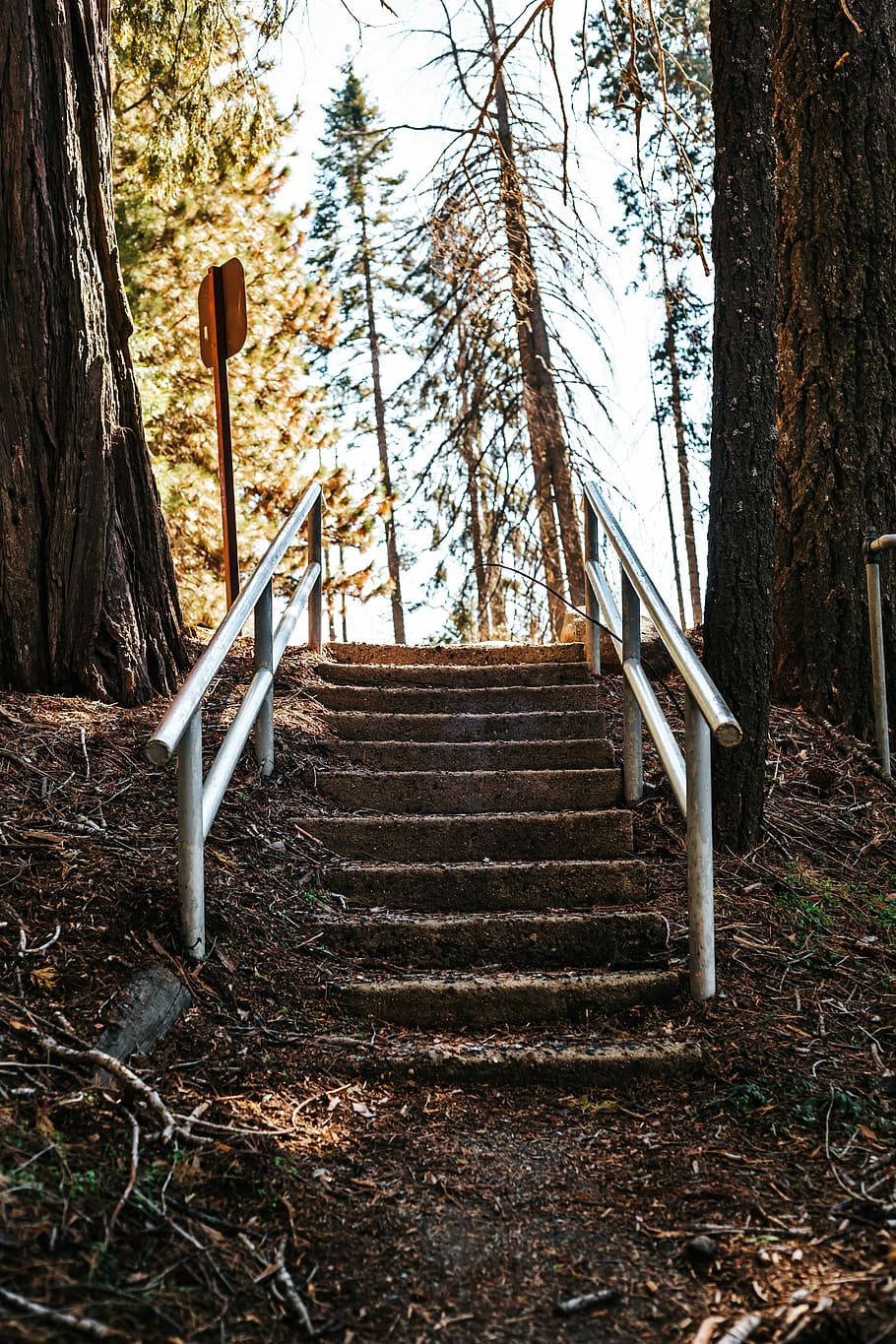 stair case near trees, grey steel stairs, strais, path, forest HD wallpaper