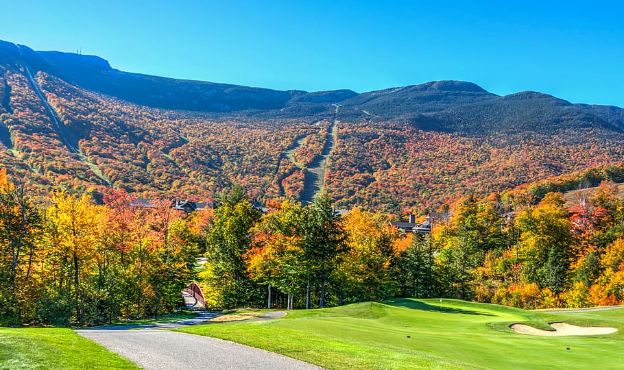 HD wallpaper: green tress, Vermont, Foliage, Mountains, Autumn, fall,  landscape | Wallpaper Flare