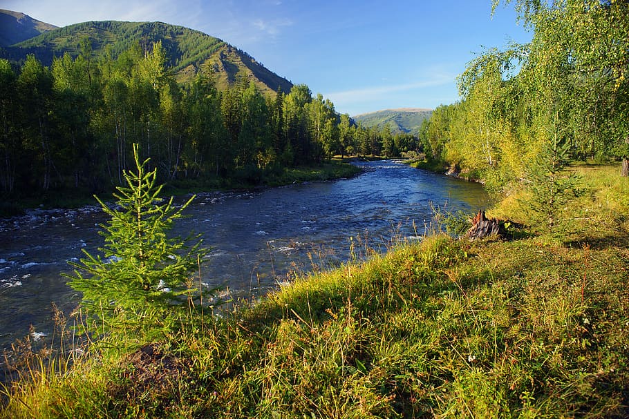 photo of body of water surrounded by trees, mountains, river HD wallpaper