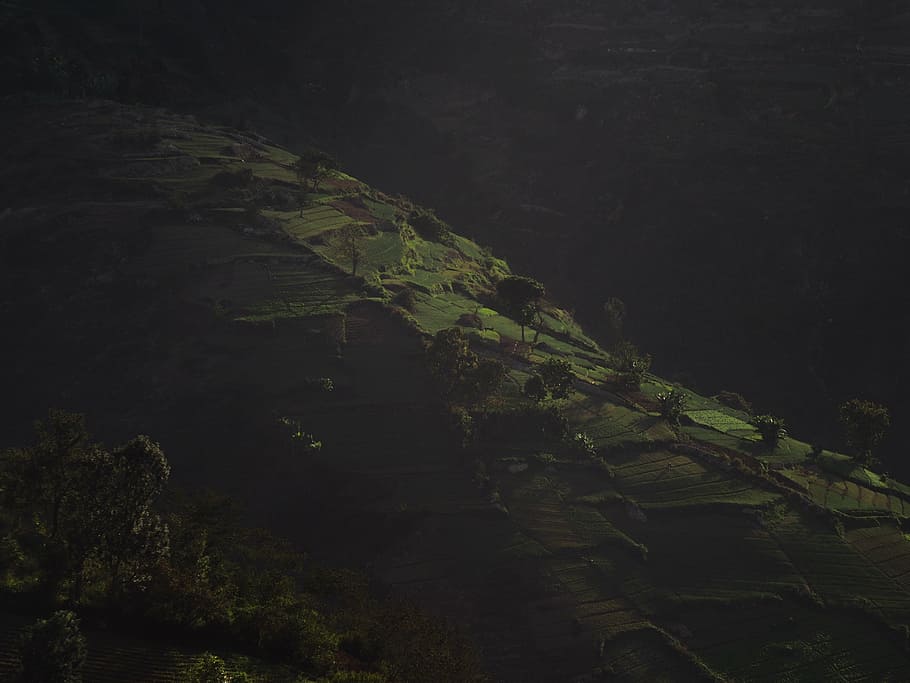 landscape photography of rice terrace, areal, view, trees, green HD wallpaper