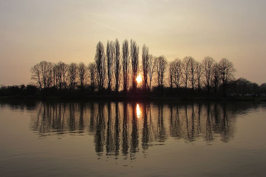 sunset, water, trees, river, thames, winter, reflection, lake HD wallpaper