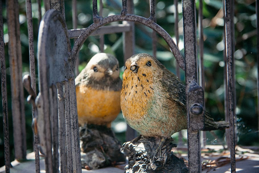 Two artificial birds, objects, animal, nature, beak, wildlife HD wallpaper