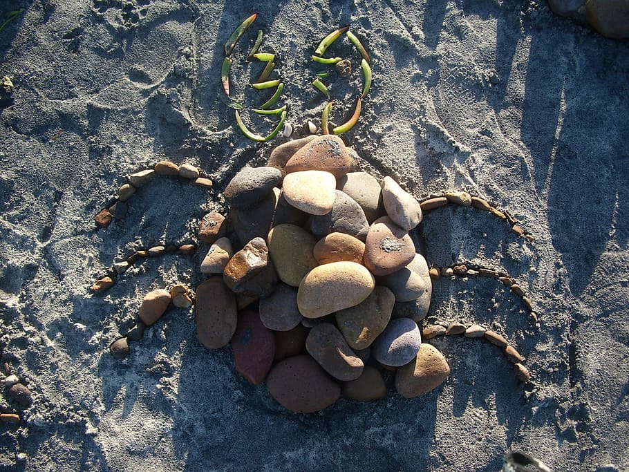 stones, bug, figure, beach, sand, nature, high angle view, day HD wallpaper