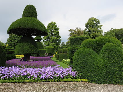 Topiary, Hedge, Formal, Garden, Shrub, plants, flower, landscaping HD wallpaper