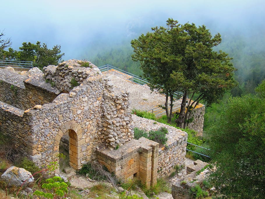 bufavento, castle, cyprus, plant, tree, architecture, history HD wallpaper
