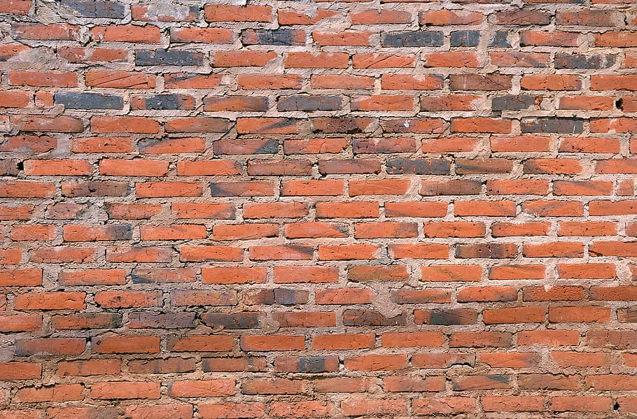 wall, bricks, common, texture, common brick, full frame, backgrounds HD wallpaper