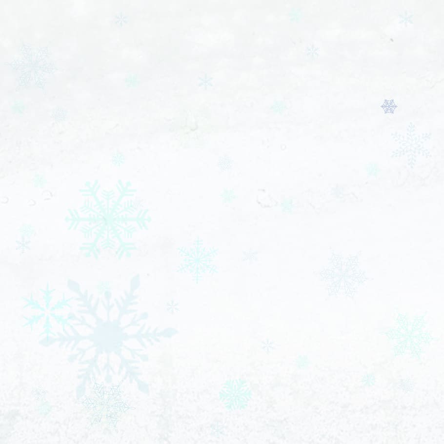 frozen, winter, princess, snow, frost, cold, ice, white, season HD wallpaper