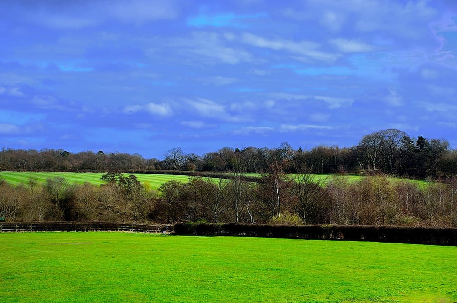 Landscape, Spring, Nature, Grass, Trees, sky, blue, clouds HD wallpaper