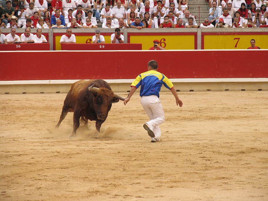 Toro, Trimmers, Bullring, competition, sport, running, activity HD wallpaper