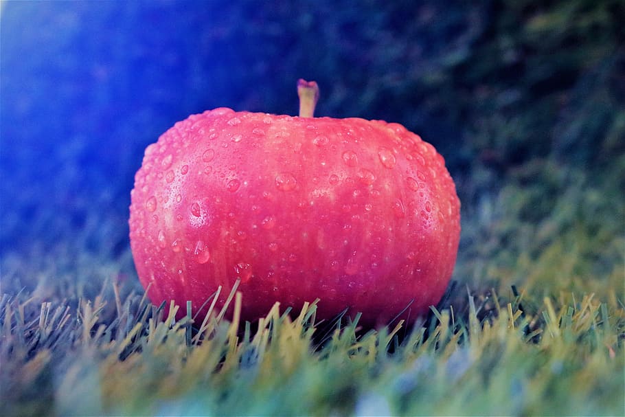 apple, meadow, filter, fruit, healthy eating, red, food and drink HD wallpaper