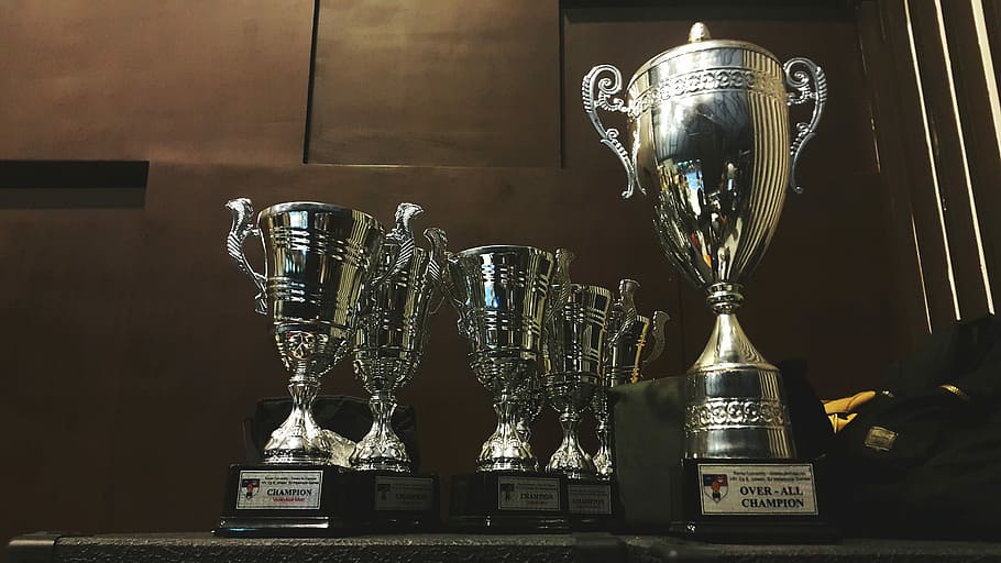 Anticipatiom, gray trophy collection in front of brown wooden furniture HD wallpaper