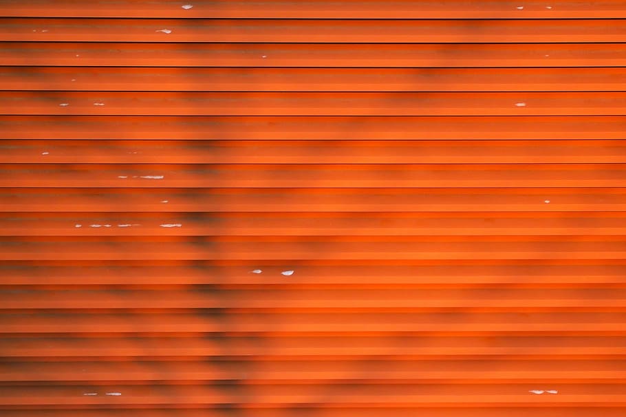 shadow, wall, bright, colorful, tree, background, backgrounds HD wallpaper