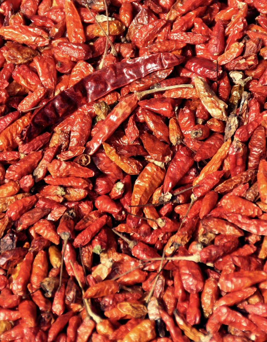 chilli, market, vegetables, red, food, sharp, spice, chili HD wallpaper