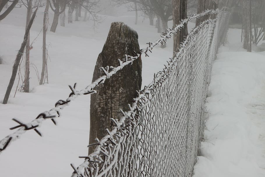cold, fence, frozen, iron, white, wire, winter, cold temperature, HD wallpaper