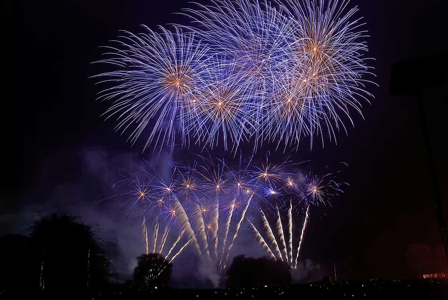 fireworks display during night time, blue, burst, bonfire, celebration HD wallpaper