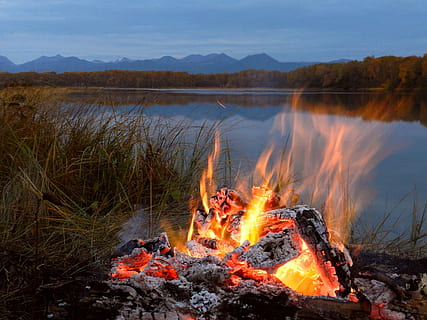lake, koster, evening, forest, mountains, flame, fire, coals HD wallpaper