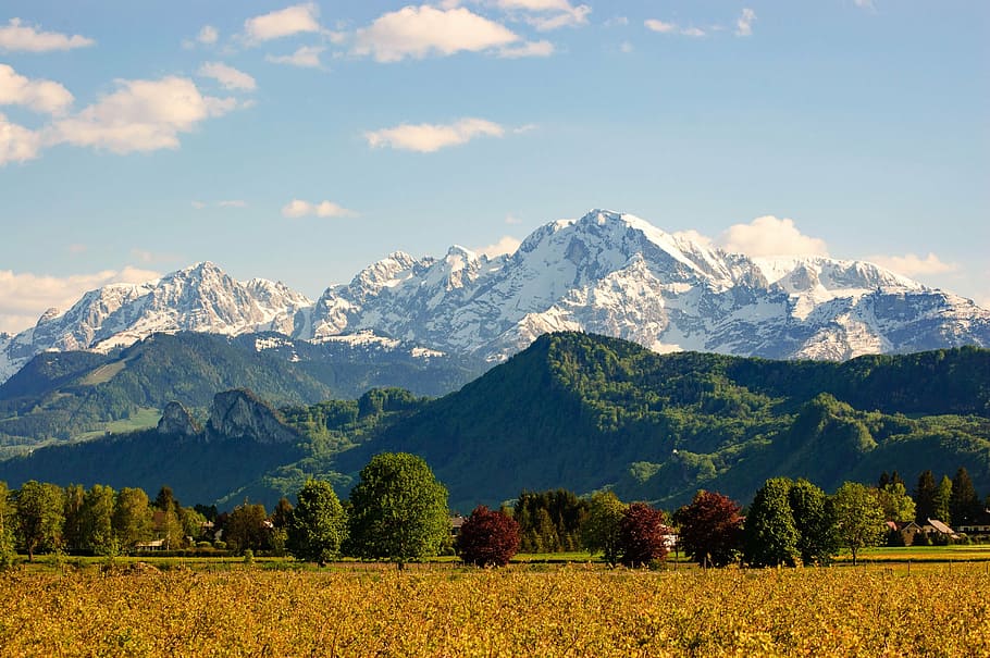 landscape, mountains, watzmann, alpine, mood, trees, summit, HD wallpaper