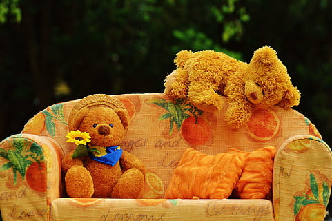two brown bear plush toys on couch, sofa, bears, sweet, cute HD wallpaper