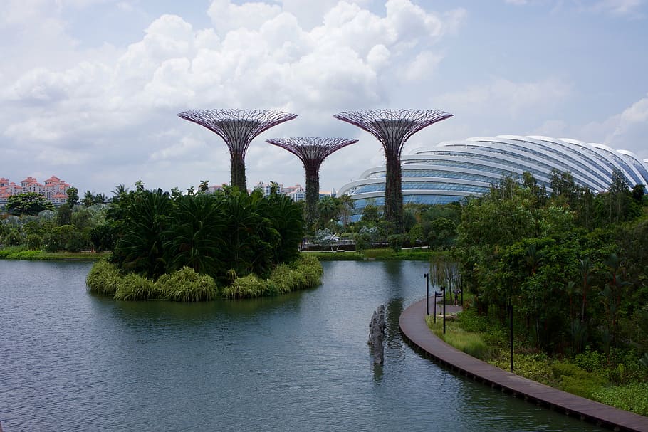 singapore, garden, park, asia, nature, plant, gardening, green, HD wallpaper