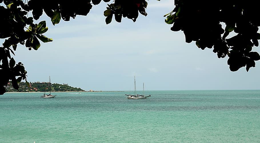 sea, boot, asia, ko samui, thailand, water, tree, sky, nautical vessel HD wallpaper