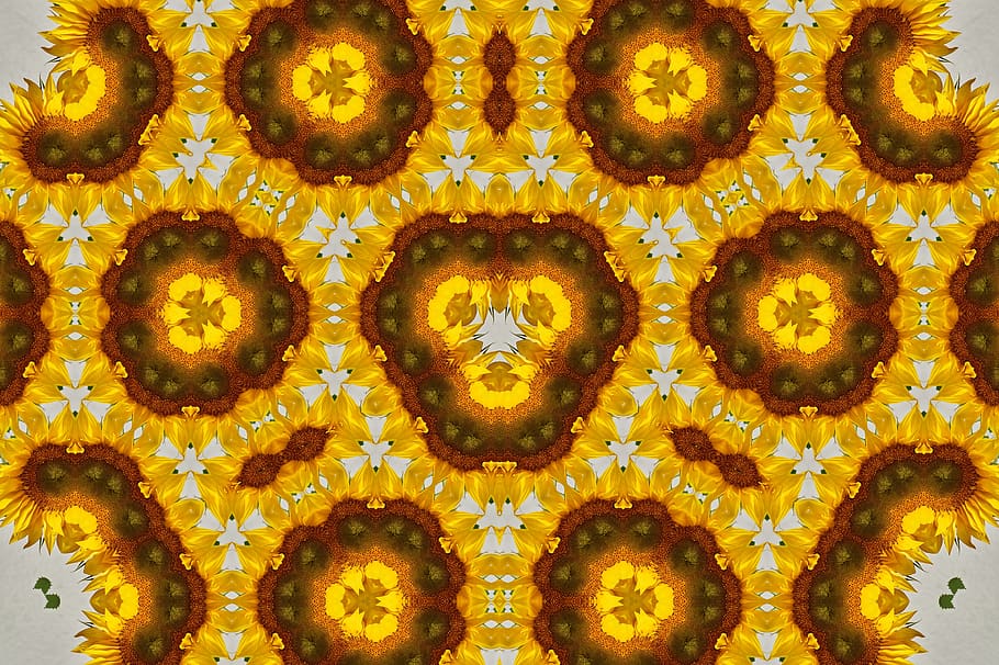 ornament, pattern, art, texture, background, form, flower, floral HD wallpaper