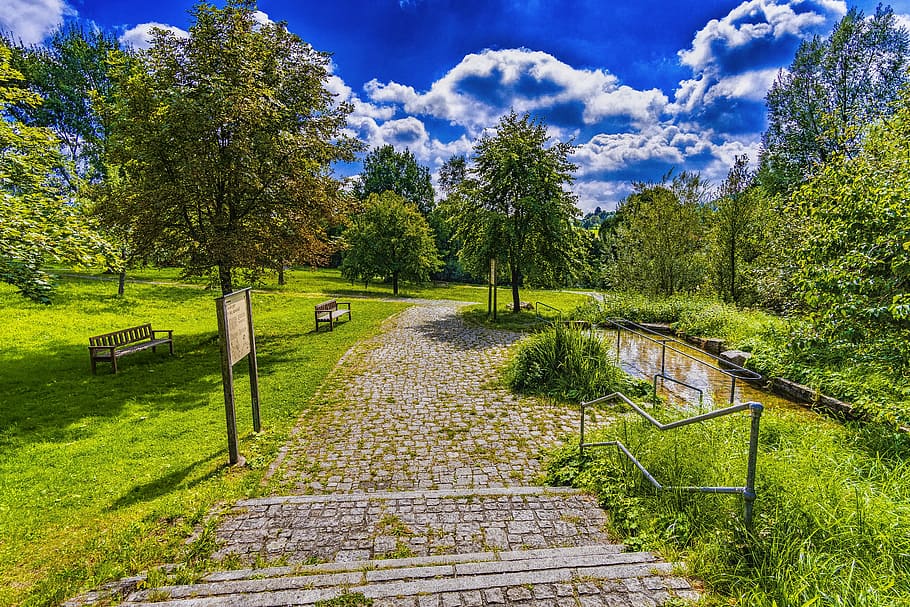 pathway between grass, park, relaxation, rest, nature, landscape