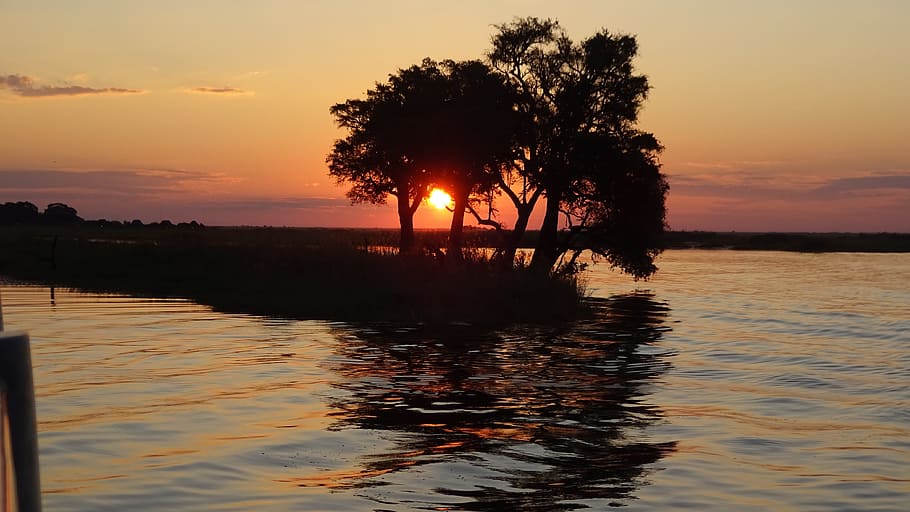 sunset, chobe, botswana, sky, water, orange color, beauty in nature HD wallpaper