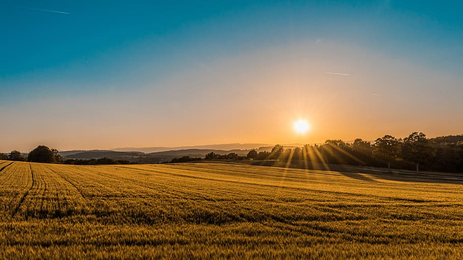 brown field near tree during daytime, brown field under sun rays passing through mountains, HD wallpaper