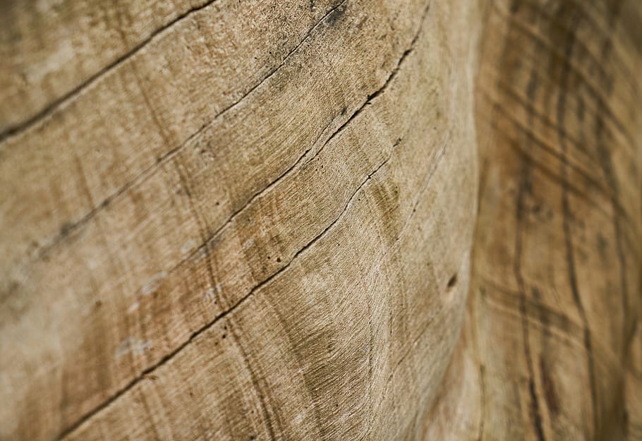 untitled, Abstract, Brown, Tree, Timber, Pattern, texture, backgrounds HD wallpaper