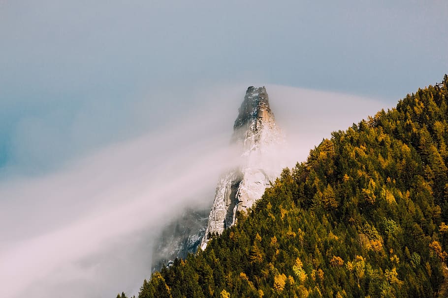 mountain cover fog, landscape photography of tall green leafed trees near snow mountain HD wallpaper