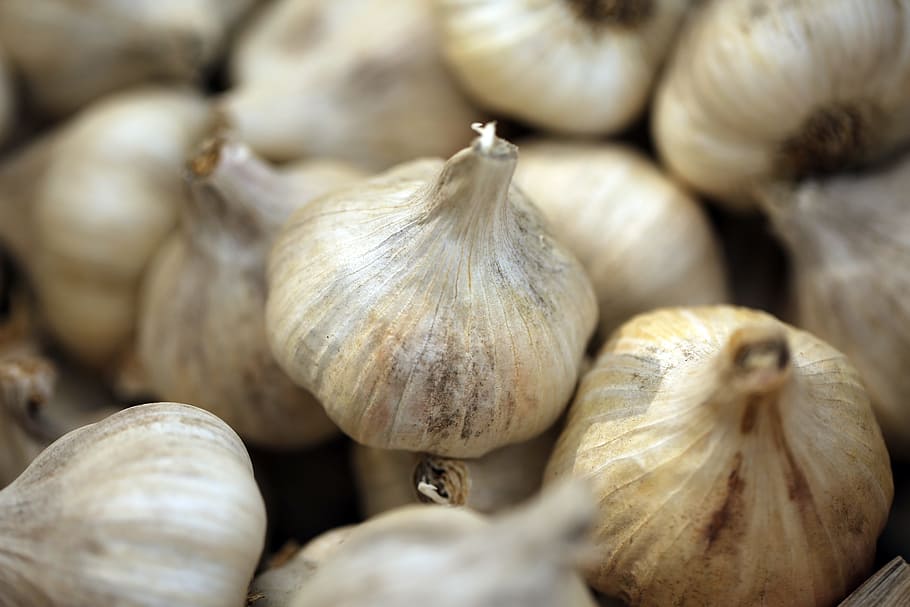 close-up photography of garlics, nature, white, condiment, food and drink HD wallpaper