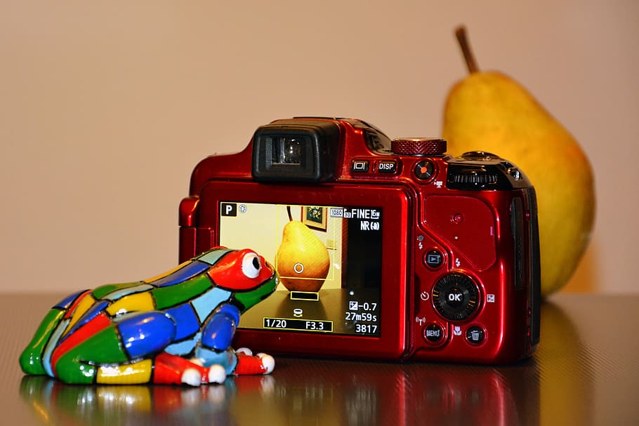 photographer, rana, camera, pera, passion, technology, toy, HD wallpaper