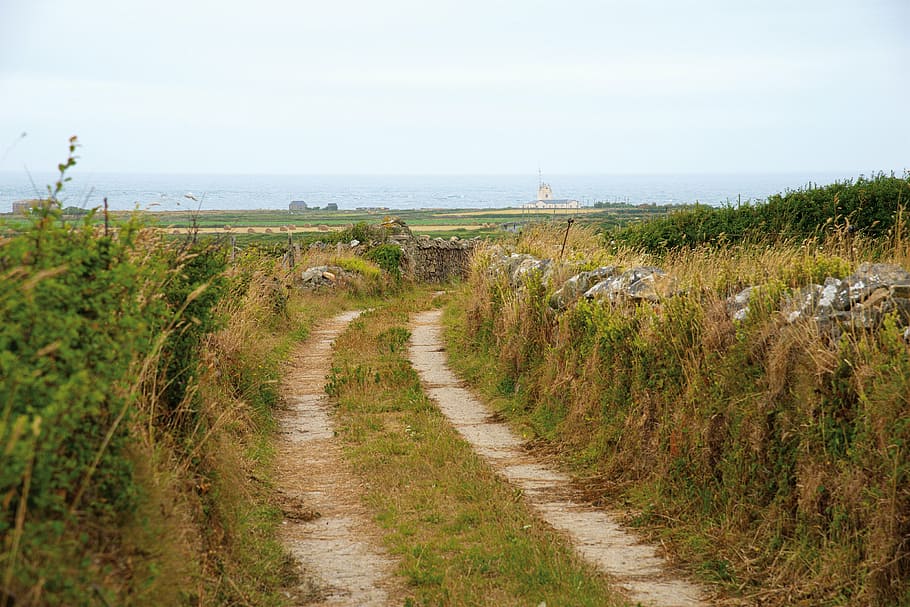 nature, path, landscape, hiking, france, sea, handle, field HD wallpaper