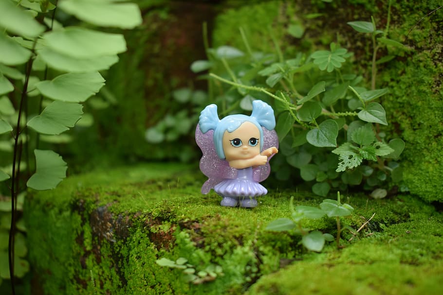 nature, leaf, flora, grass, wood, little, beautiful, outdoors HD wallpaper